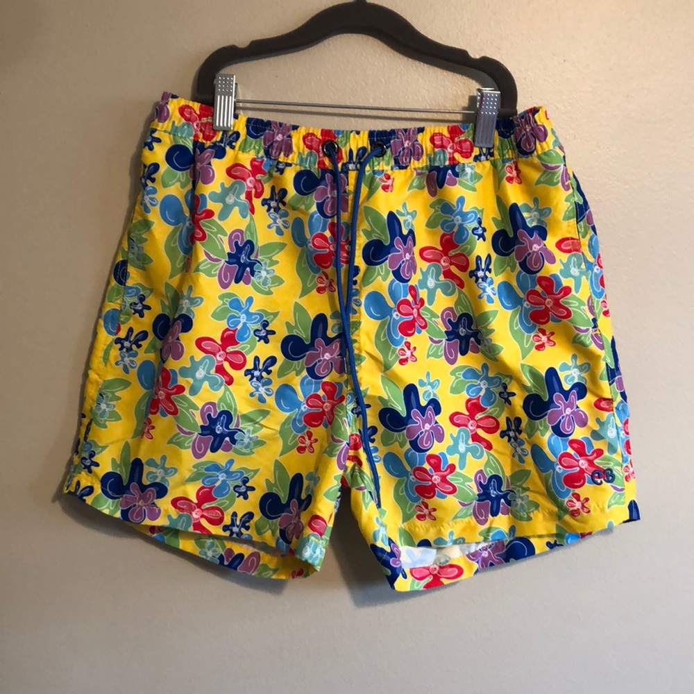 Cabana Bro Swimsuit